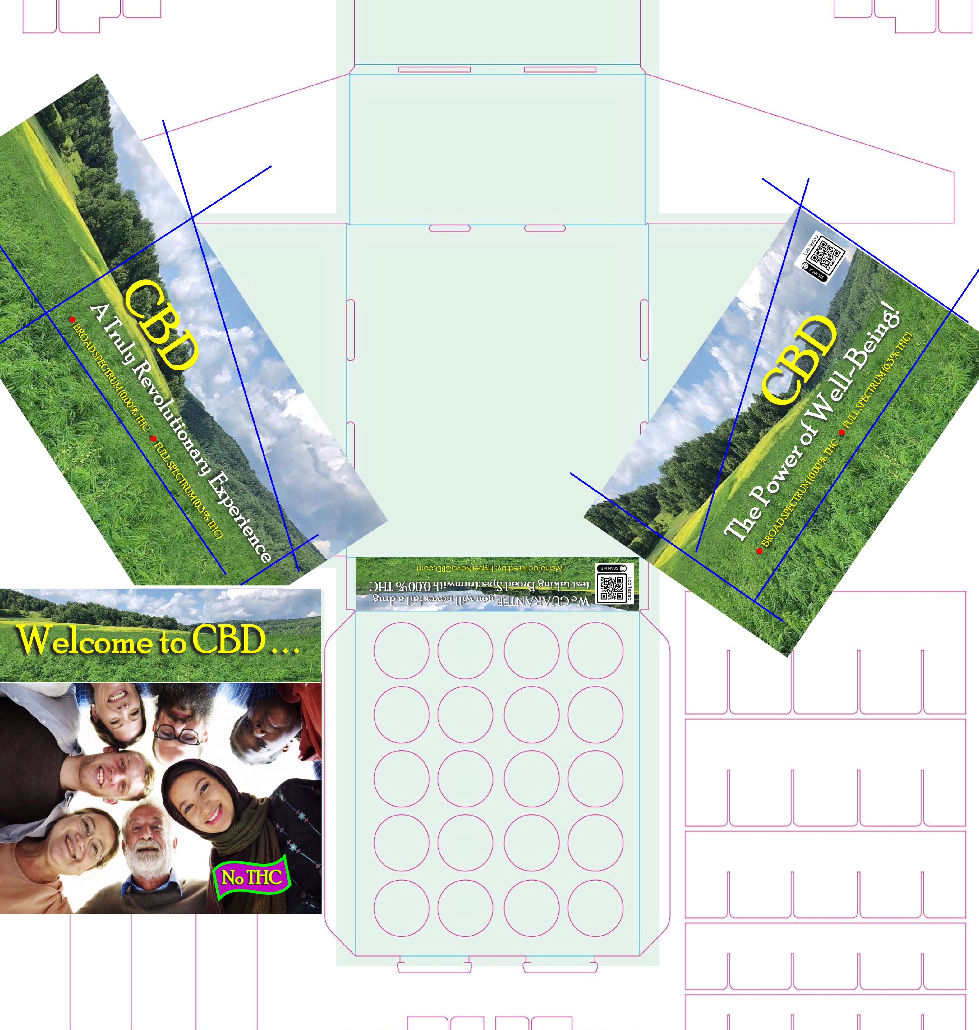 Template Display 16